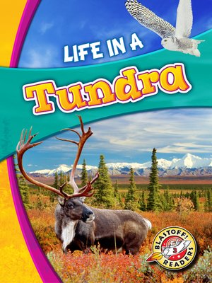 cover image of Life in a Tundra